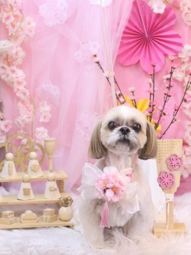 20250316ちょびくん